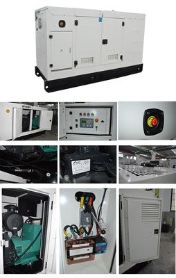 6.25 KVA Sessiz Jeneratör Delixi devre kesici ve 8 saatlik tam yükle Whisper Silent güç kaynağı